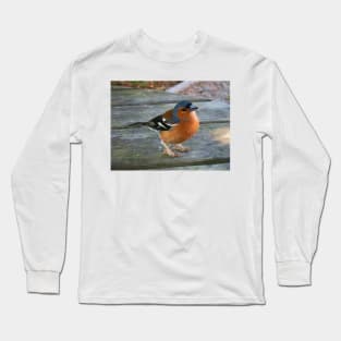 Lunch Please ! Long Sleeve T-Shirt